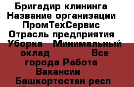 Бригадир клининга › Название организации ­ ПромТехСервис › Отрасль предприятия ­ Уборка › Минимальный оклад ­ 30 000 - Все города Работа » Вакансии   . Башкортостан респ.,Караидельский р-н